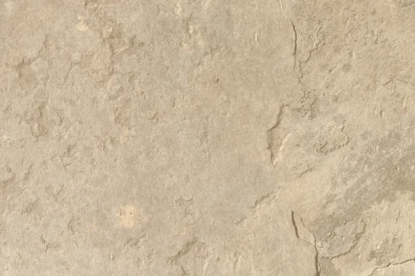 0496 Colosseum