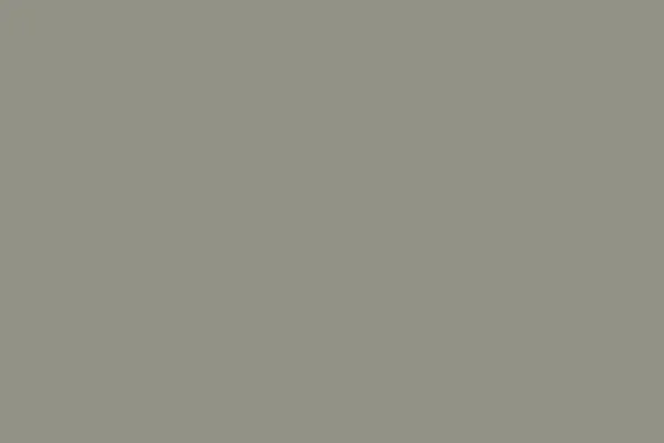 0747 Medium Grey