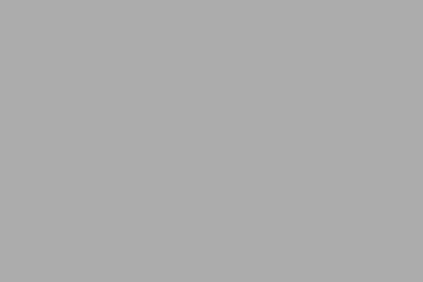 0753 Cool Grey