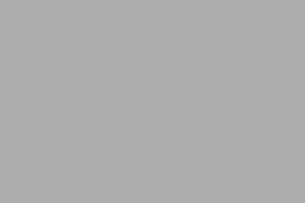 0762 Natural Grey