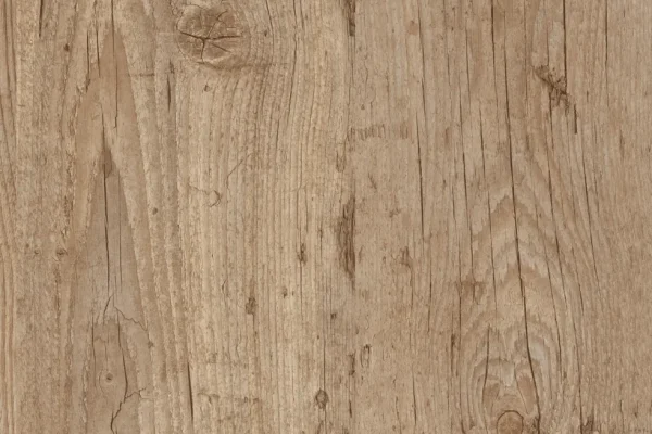 0801 Fir Platinum